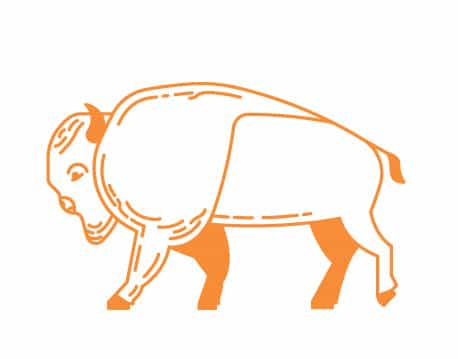 Bison Inset