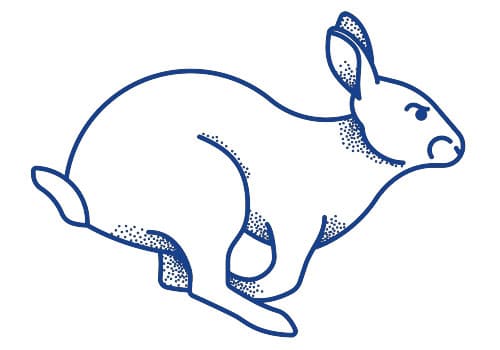 Hare Inset